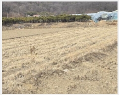  2025Ÿ5698  ĥ õ ȣ 499-1      ()