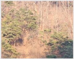  2025Ÿ��6219  �Ӿ߰��