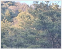  2025Ÿ��6219  �Ӿ߰��