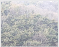  2025Ÿ��6219  �Ӿ߰��