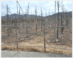  2025Ÿ6448  û ϸ  862      ()