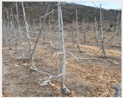  2025Ÿ6448  û ϸ  862      ()