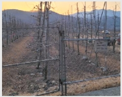  2025Ÿ6448  û ϸ  862      ()