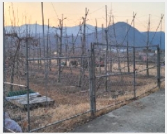  2025Ÿ6448  û ϸ  862      ()