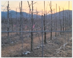  2025Ÿ6448  û ϸ  862      ()