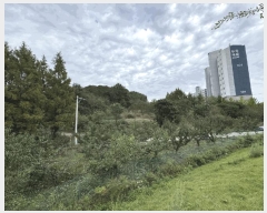  2025Ÿ��7293 ��� ���� �Ͼ��� ������ ��4      ����(�Ӿ�)���