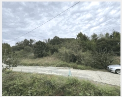  2025Ÿ��7293 ��� ���� �Ͼ��� ������ ��4      ����(�Ӿ�)���