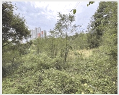  2025Ÿ��7293 ��� ���� �Ͼ��� ������ ��4      ����(�Ӿ�)���