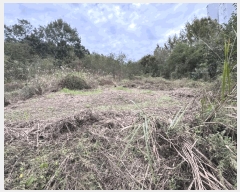  2025Ÿ��7293 ��� ���� �Ͼ��� ������ ��4      ����(�Ӿ�)���