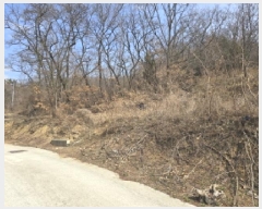  2025Ÿ��7293 ��� ���� �Ͼ��� ������ ��4      ����(�Ӿ�)���