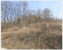  2025Ÿ��7293 ��� ���� �Ͼ��� ������ ��4      ����(�Ӿ�)���