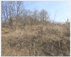  2025Ÿ��7293 ��� ���� �Ͼ��� ������ ��4      ����(�Ӿ�)���