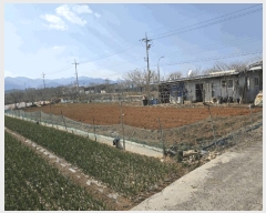  2025Ÿ��7511 ��� ��õ�� û��� ġ�ϸ� 87      ����(��)���