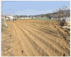  2025Ÿ��7511 ��� ��õ�� û��� ġ�ϸ� 87      ����(��)���