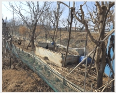  2025Ÿ��7511 ��� ��õ�� û��� ġ�ϸ� 87      ����(��)���