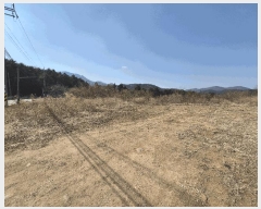  2025Ÿ��7565 ��� ĥ� ����� ���߸� 252      ����(��1)���