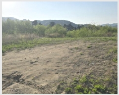  2025Ÿ��7565 ��� ĥ� ����� ���߸� 252      ����(��1)���