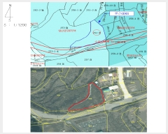  2025Ÿ��7565 ��� ĥ� ����� ���߸� 252      ����(��1)���