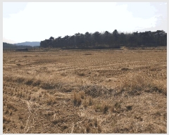  2025Ÿ7598  ĥ ϻ  326-1      ()