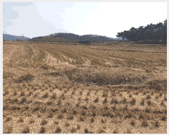  2025Ÿ7598  ĥ ϻ  326-1      ()