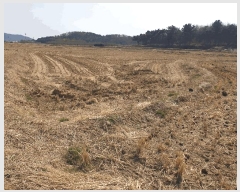  2025Ÿ7598  ĥ ϻ  326-1      ()