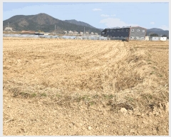  2025Ÿ7598  ĥ ϻ  326-1      ()