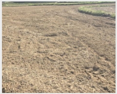  2025Ÿ7598  ĥ ϻ  326-1      ()