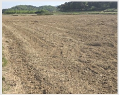  2025Ÿ7598  ĥ ϻ  326-1      ()