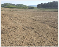  2025Ÿ7598  ĥ ϻ  326-1      ()