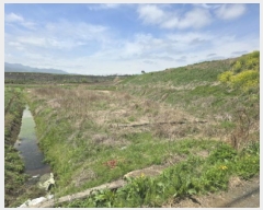  2025Ÿ��7697 ��� ��õ�� ȭ��� ��ȸ� 374      ����(��)���