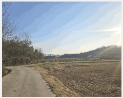  2025Ÿ7751   з  476-1      ()