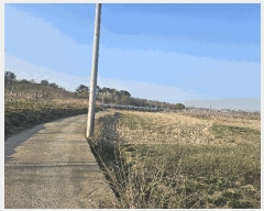  2025Ÿ7751   з  476-1      ()