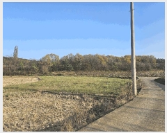  2025Ÿ7751   з  476-1      ()