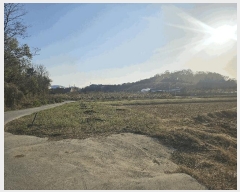  2025Ÿ7751   з  476-1      ()