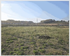  2025Ÿ7751   з  476-1      ()