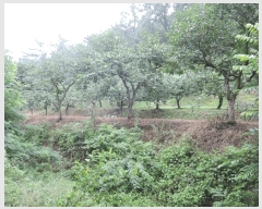  2025Ÿ7817     383      (1)