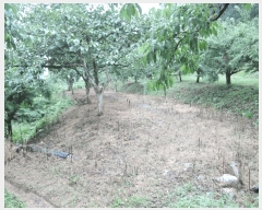  2025Ÿ7817     383      (1)