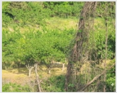  2025Ÿ7817     383      (1)