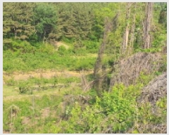  2025Ÿ7817     383      (1)