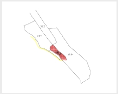  2025Ÿ7817     383      (1)