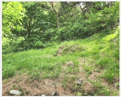  2025Ÿ��8101 �뱸 ���� �ߴ뵿 ��46       ����(�Ӿ�)���