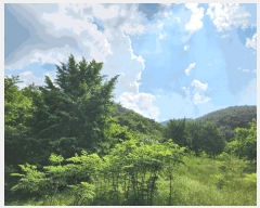  2025Ÿ��8101 �뱸 ���� �ߴ뵿 ��46       ����(�Ӿ�)���