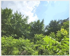  2025Ÿ��8101 �뱸 ���� �ߴ뵿 ��46       ����(�Ӿ�)���