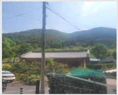  2025Ÿ��8101 �뱸 ���� �ߴ뵿 ��46       ����(�Ӿ�)���