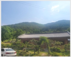  2025Ÿ��8101 �뱸 ���� �ߴ뵿 ��46       ����(�Ӿ�)���