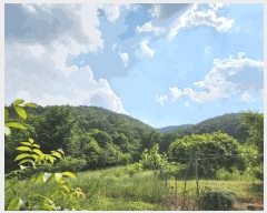  2025Ÿ��8101 �뱸 ���� �ߴ뵿 ��46       ����(�Ӿ�)���