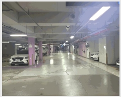  2025Ÿ��8197  ����Ʈ���