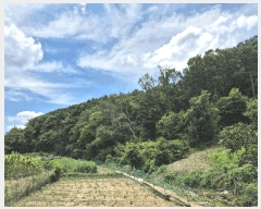  2025Ÿ��8486 ��� ���� �Ͼ��� ��ȣ�� ��18      ����(�Ӿ�)���