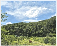  2025Ÿ��8486 ��� ���� �Ͼ��� ��ȣ�� ��18      ����(�Ӿ�)���