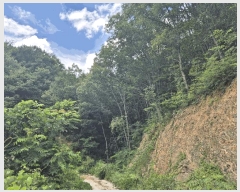  2025Ÿ��8486 ��� ���� �Ͼ��� ��ȣ�� ��18      ����(�Ӿ�)���